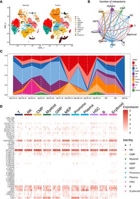 Aggrephagy-related patterns in tumor microenvironment, prognosis, and immunotherapy for acute myeloid leukemia: a comprehensive single-cell RNA sequencing analysis